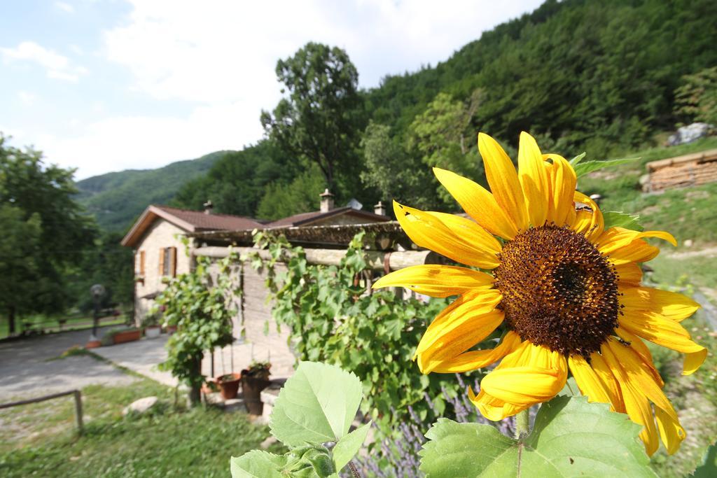 Agriturismo Ca Sonino Bettola  Exteriör bild